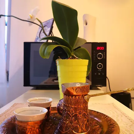 Apartment Bistrik 1